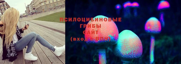 дживик Лабытнанги