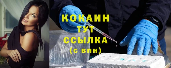 мдпв Лагань