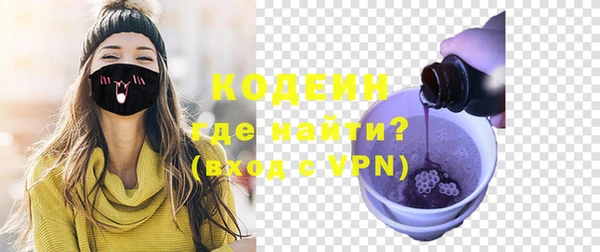 дурь Вяземский