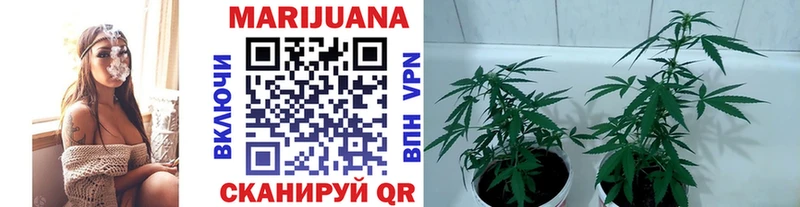 Бошки Шишки White Widow Гусиноозёрск